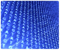 DNA Sequencing