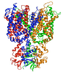 Protein Channels and Bilayers